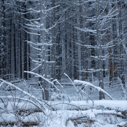 Magura National Park, Low Beskid