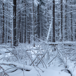 Magura National Park, Low Beskid