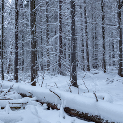 Magura National Park, Low Beskid