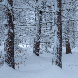 Magurski Park Narodowy, Beskid Niski