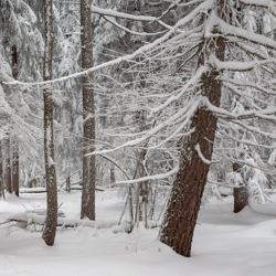 Magurski Park Narodowy, Beskid Niski