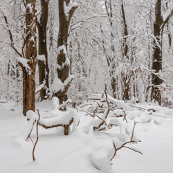 Magura National Park, Low Beskid