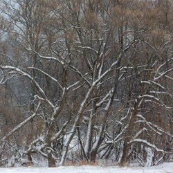 Magura National Park, Low Beskid