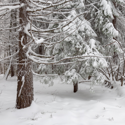 Magurski Park Narodowy, Beskid Niski