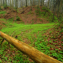 Szczebrzeszyński Park Krajobrazowy, Roztocze Zachodnie