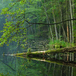 Roztoczański Park Narodowy, Roztocze Środkowe