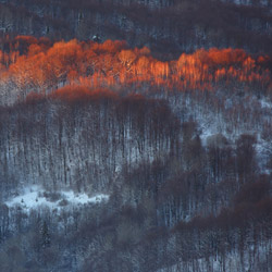 Bieszczady National Park, Western Bieszczady