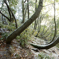 Bieszczadzki Park Narodowy, Bieszczady Zachodnie