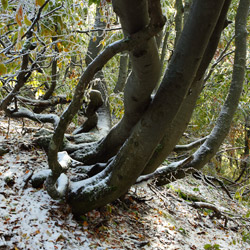 Bieszczady National Park, Western Bieszczady