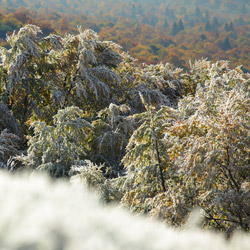 Bieszczadzki Park Narodowy, Bieszczady Zachodnie