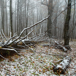 Roztoczański Park Narodowy, Roztocze Środkowe