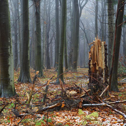 Roztoczański Park Narodowy, Roztocze Środkowe