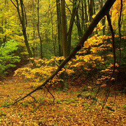 Szczebrzeszyn Landscape Park, Western Roztocze