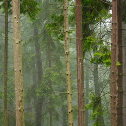 Popradzki Landscape Park, Beskid Sadecki Mts.