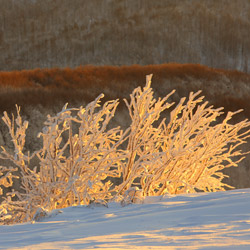 Bieszczadzki Park Narodowy, Bieszczady Zachodnie