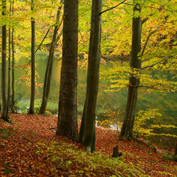 Rezerwat przyrody Zwiezło, Ciśniańsko-Wetliński Park Krajobrazowy, Biaszczady Zachodnie