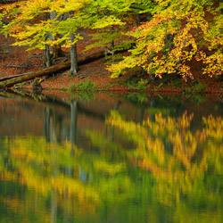 Rezerwat przyrody Zwiezło, Ciśniańsko-Wetliński Park Krajobrazowy, Biaszczady Zachodnie