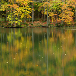 Rezerwat przyrody Zwiezło, Ciśniańsko-Wetliński Park Krajobrazowy, Biaszczady Zachodnie