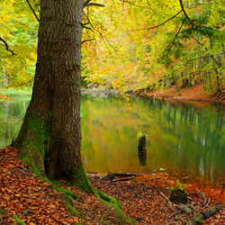 Rezerwat przyrody Zwiezło, Ciśniańsko-Wetliński Park Krajobrazowy, Biaszczady Zachodnie