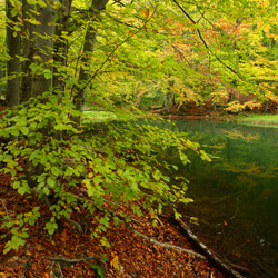 Rezerwat przyrody Zwiezło, Ciśniańsko-Wetliński Park Krajobrazowy, Biaszczady Zachodnie