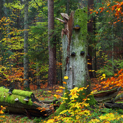 Roztoczański Park Narodowy, Roztocze Środkowe