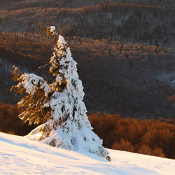 Bieszczady National Park, Western Bieszczady