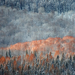 Bieszczady National Park, Western Bieszczady