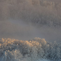 Bieszczady National Park, Western Bieszczady