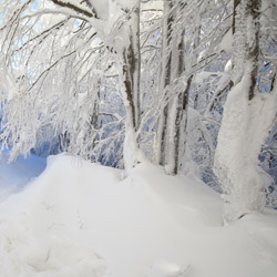 Bieszczady National Park, Western Bieszczady