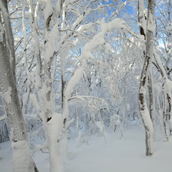 Bieszczady National Park, Western Bieszczady