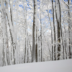 Bieszczadzki Park Narodowy, Bieszczady Zachodnie