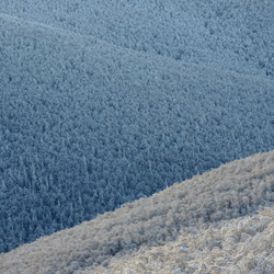 Bieszczadzki Park Narodowy, Bieszczady Zachodnie