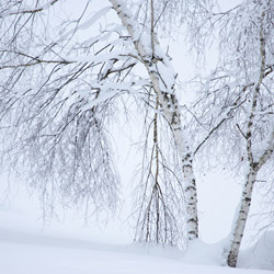 Bieszczady National Park, Western Bieszczady