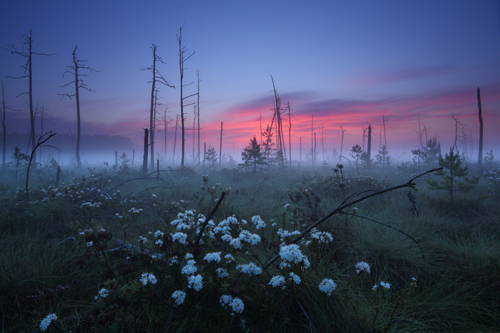 Grzegorz Szkutnik | Fotografia przyrodnicza i krajoznawcza, Nature and landscape photography