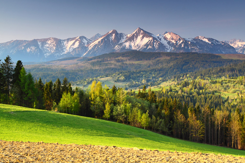 Grzegorz Szkutnik | Fotografia przyrodnicza i krajoznawcza, Nature and landscape photography